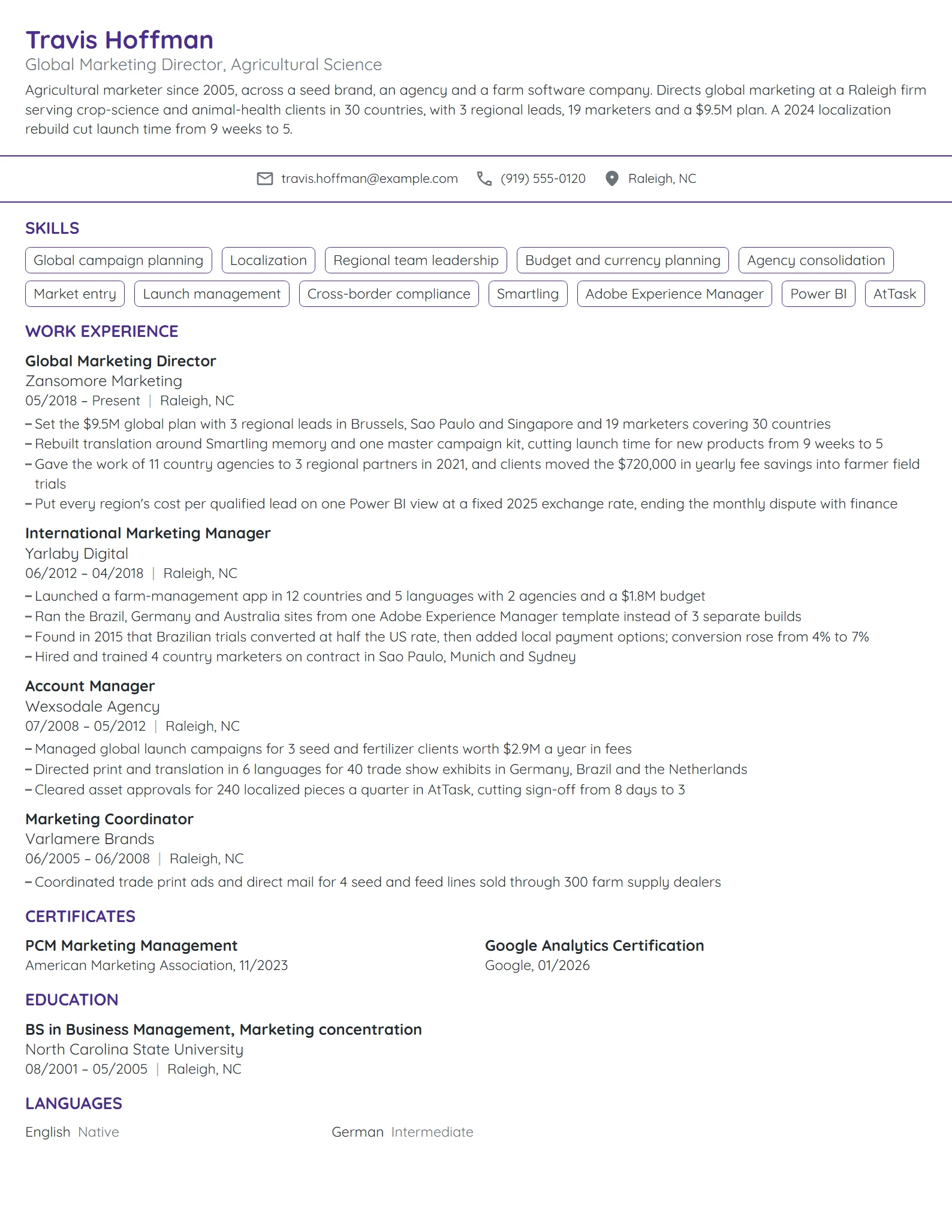 Global Marketing Director resume example