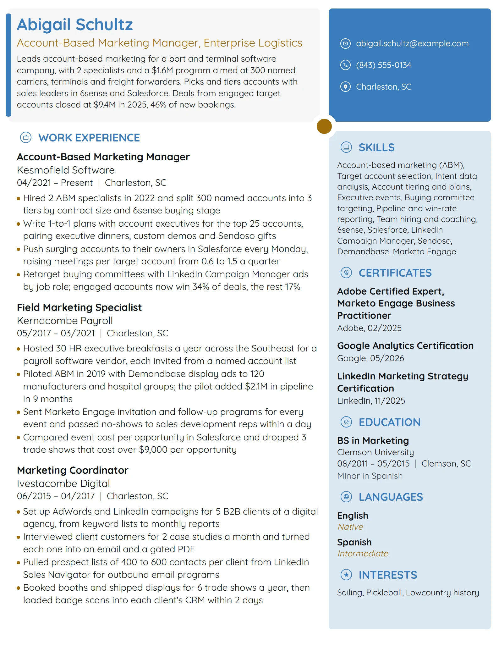 Account-Based Marketing Manager resume example