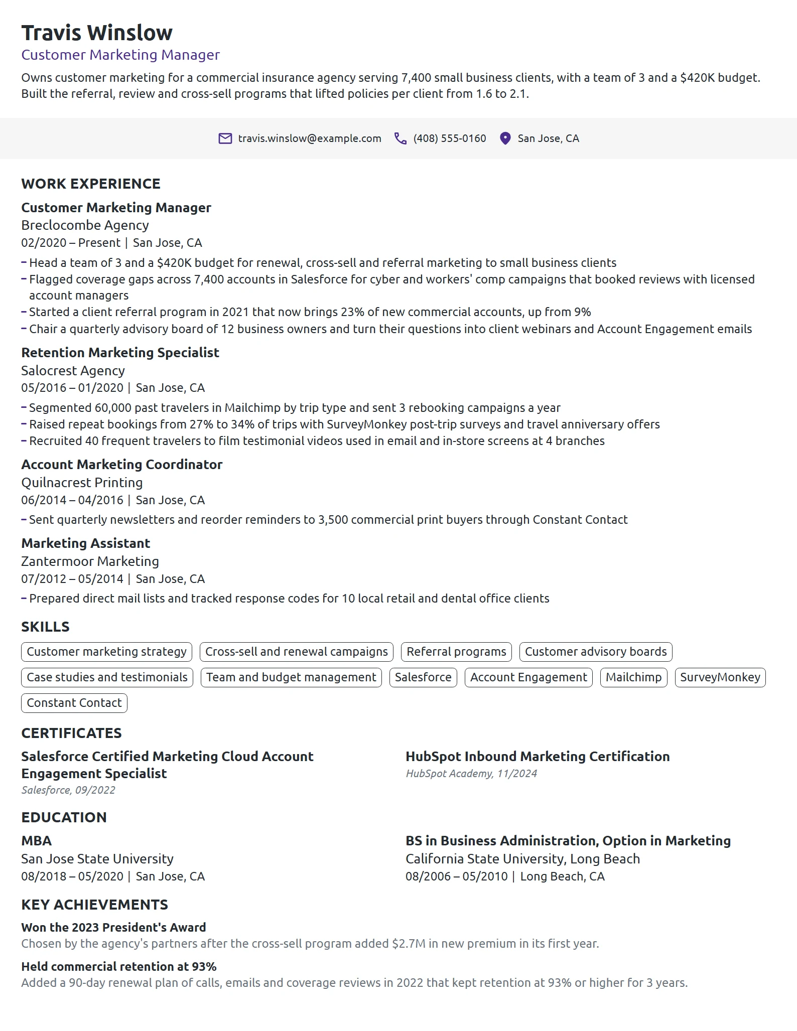 Customer Marketing Manager resume example