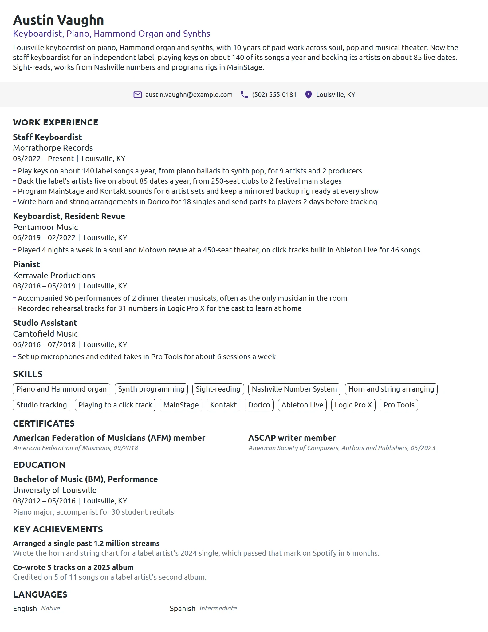 Musician resume example