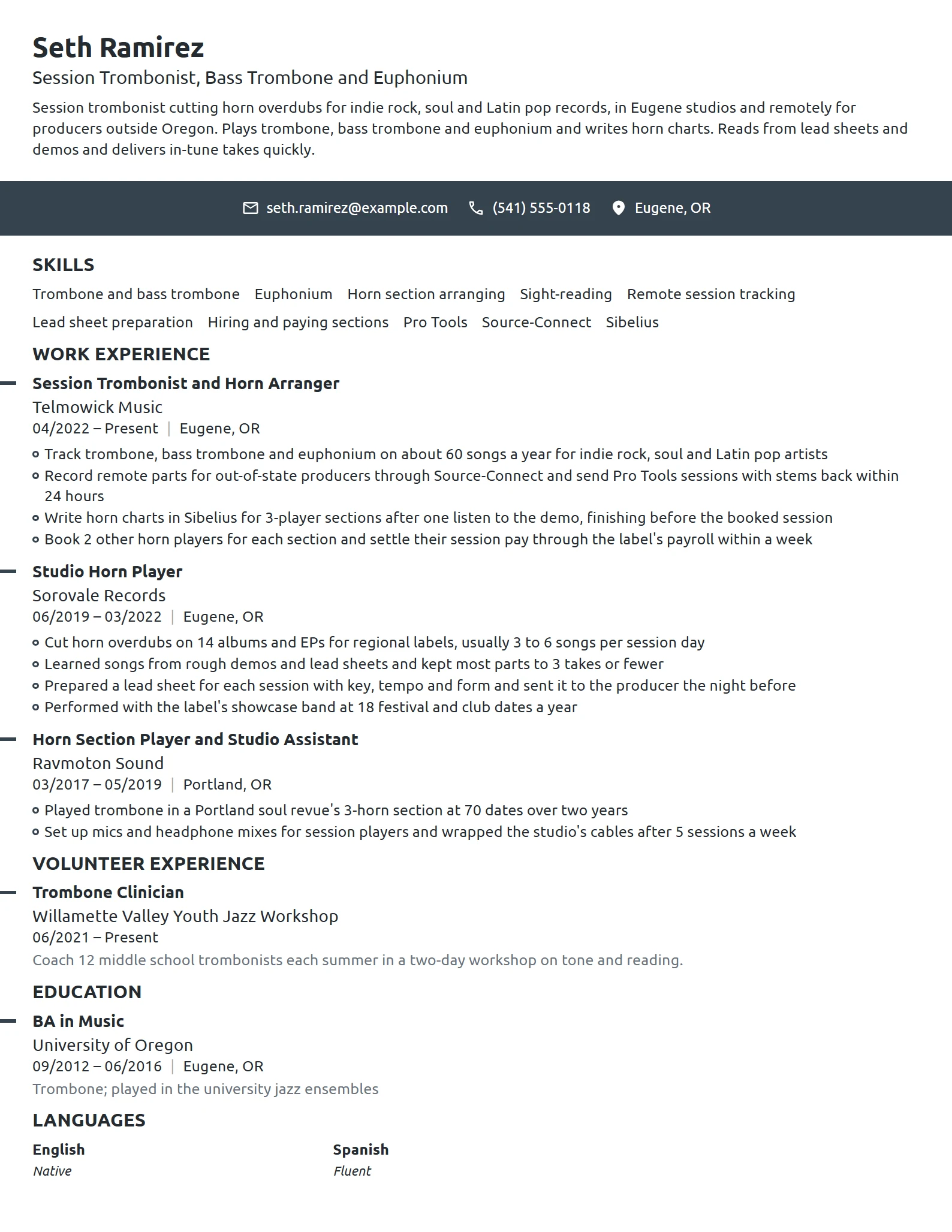 Session Musician resume example
