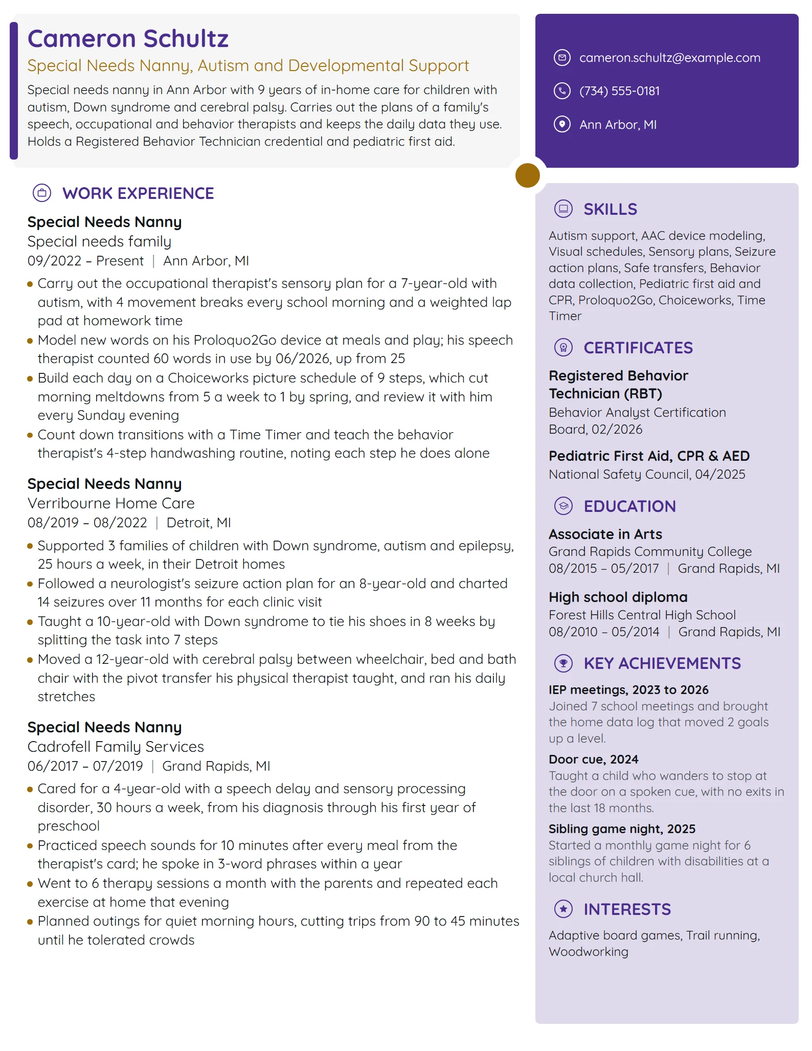 Special Needs Nanny resume example