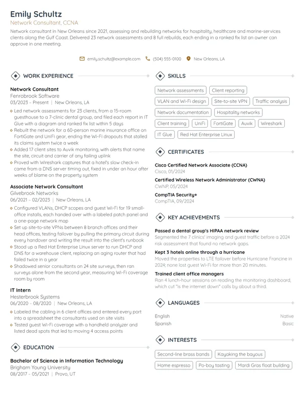 Network Consultant resume example