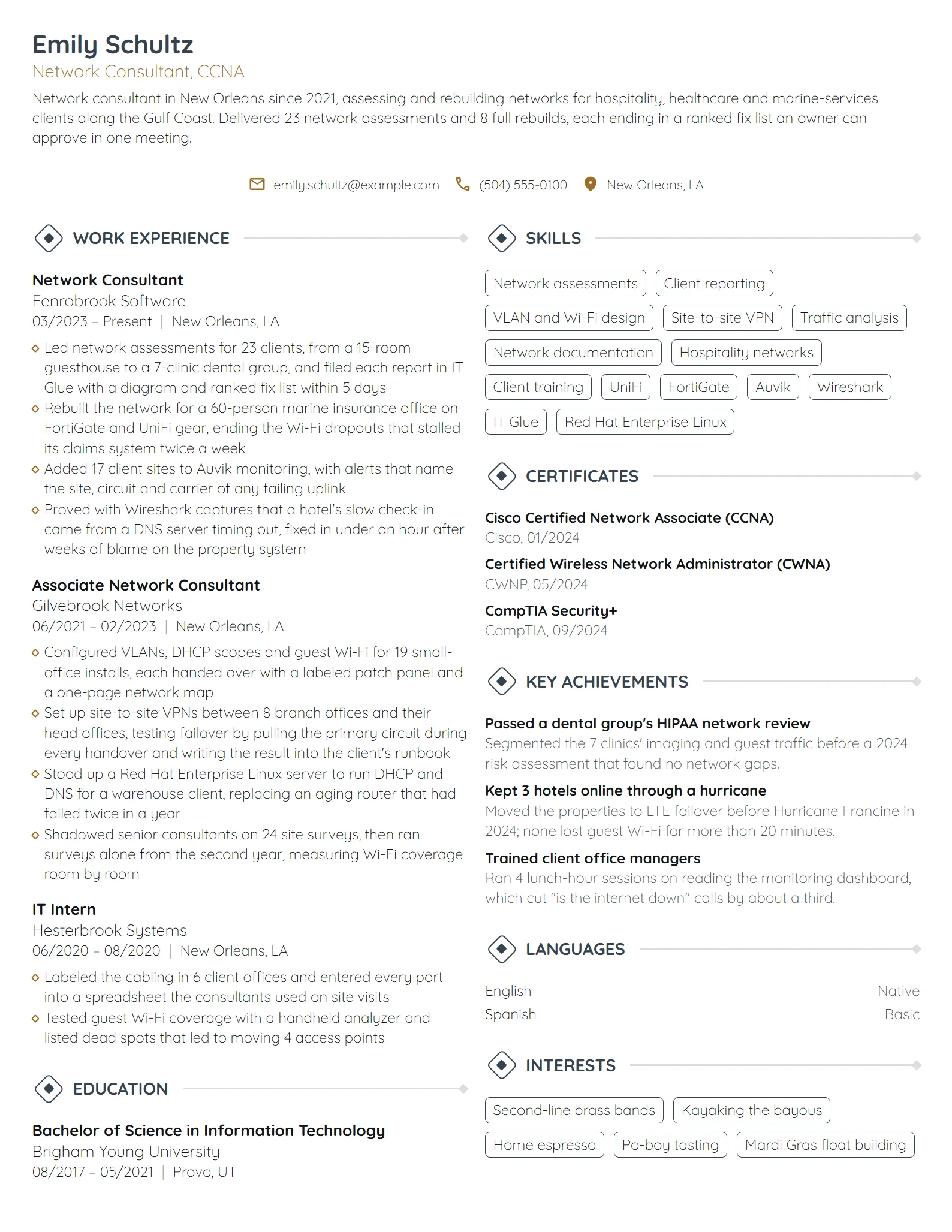 Network Consultant resume example