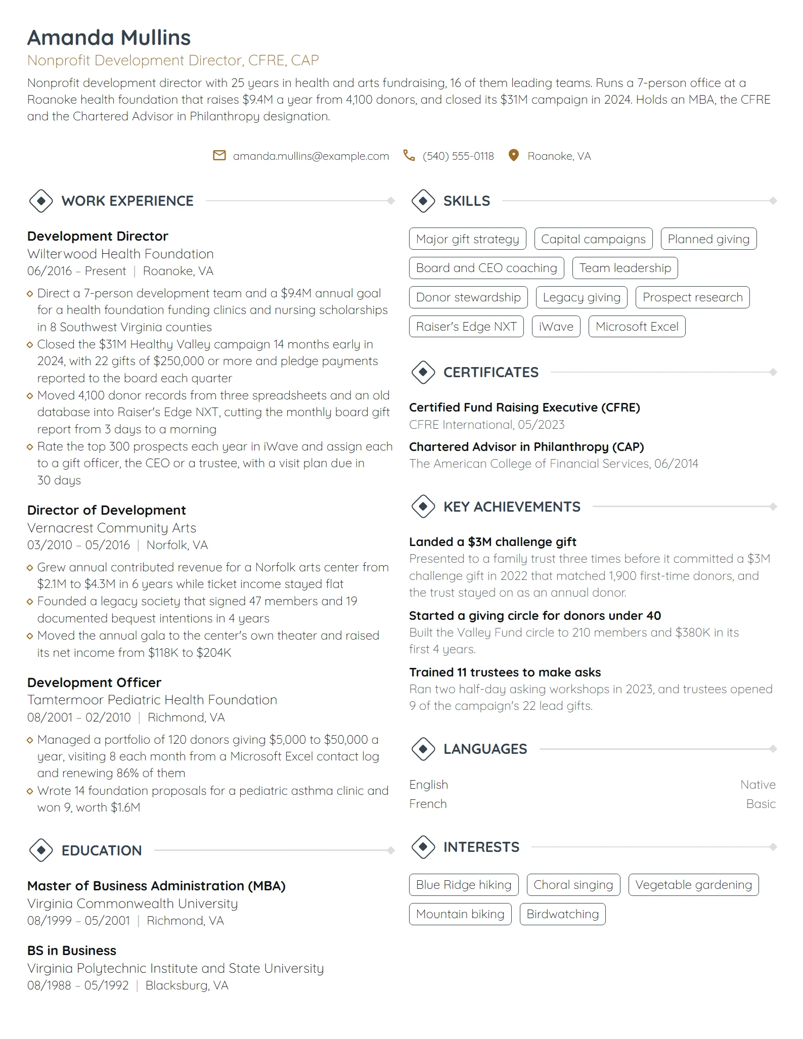 Nonprofit Development Director resume example