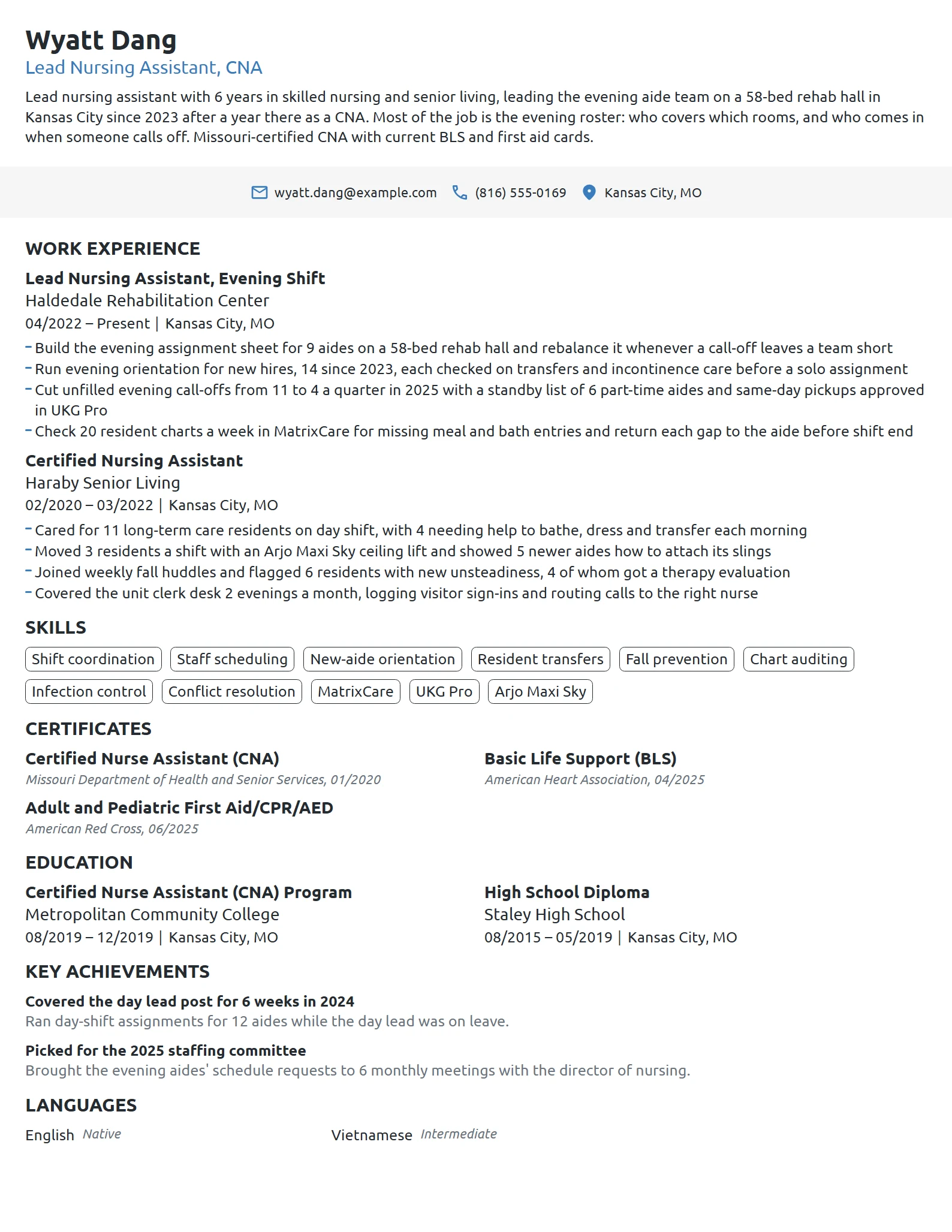 Lead Nursing Assistant resume example