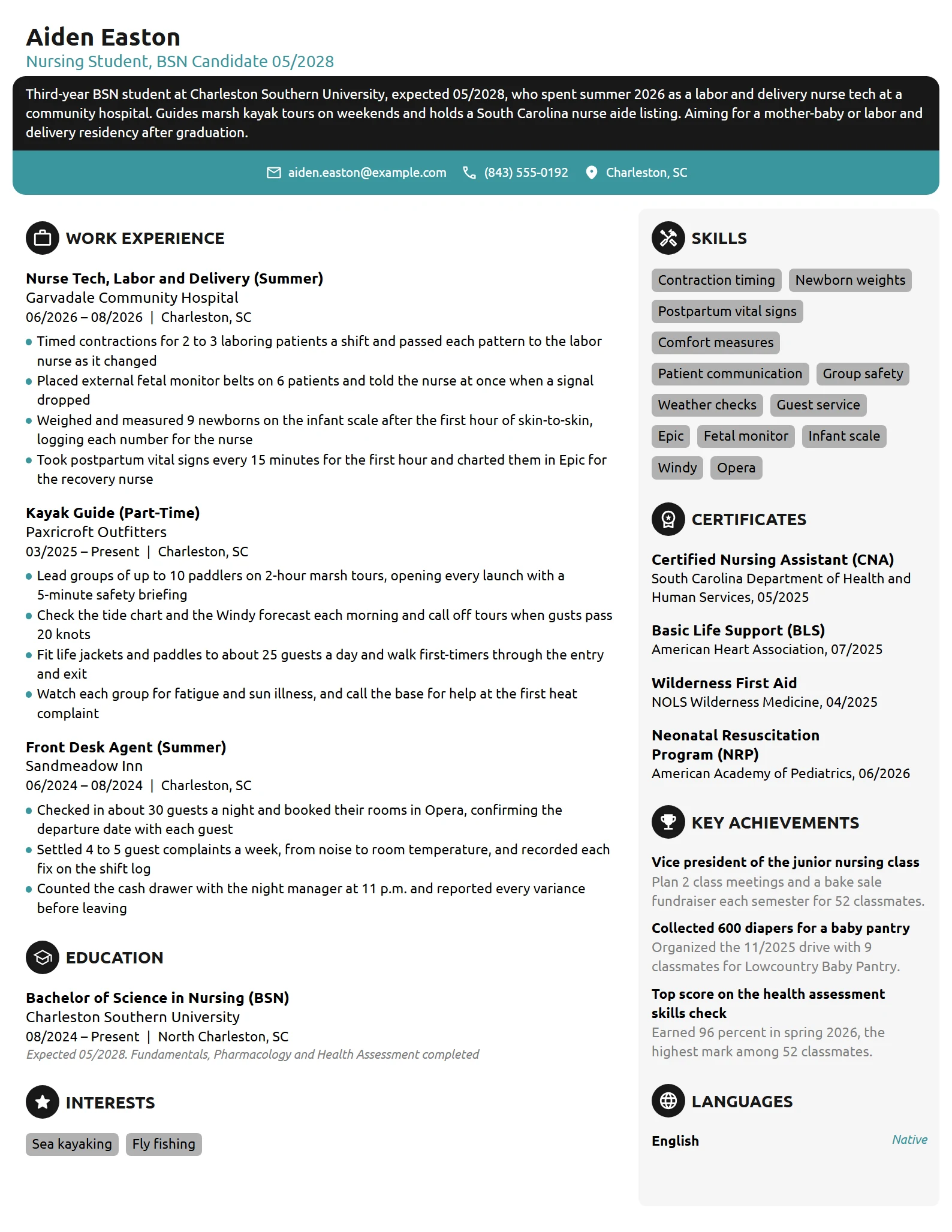 Labor and Delivery Nursing Student resume example