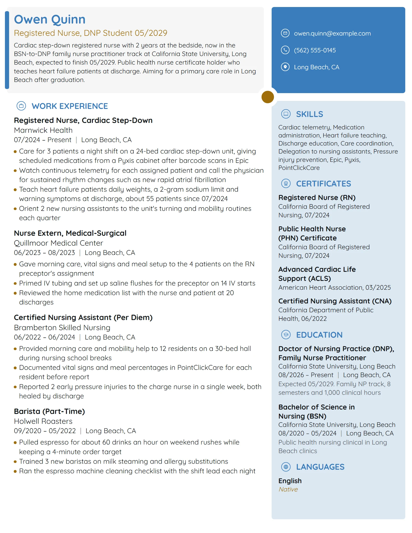Nurse Practitioner Student resume example
