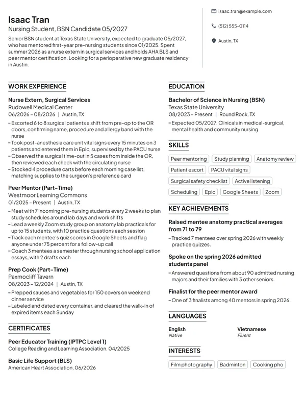 Nursing Student Mentor resume example