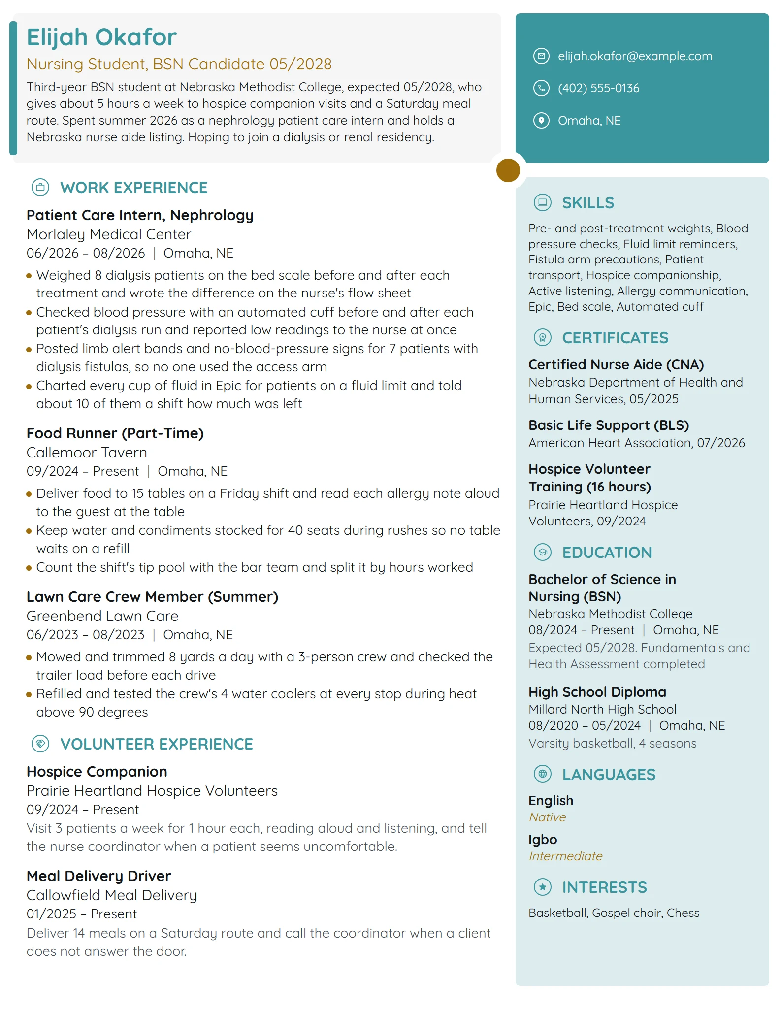 Nursing Student Volunteer resume example