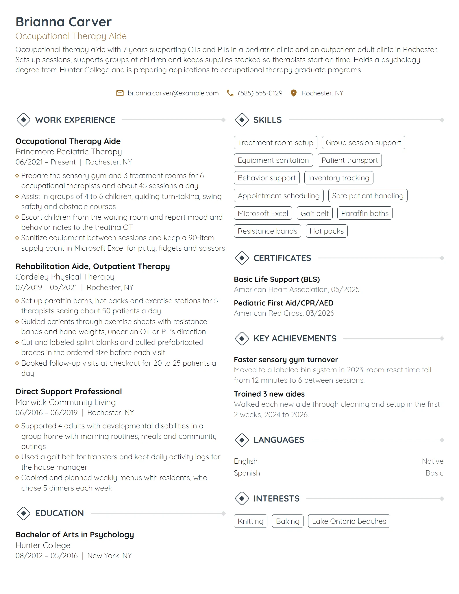 Occupational Therapy Aide resume example