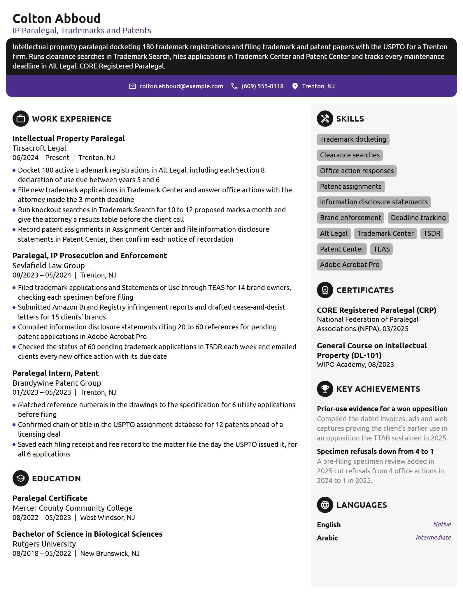 Intellectual Property Paralegal resume example