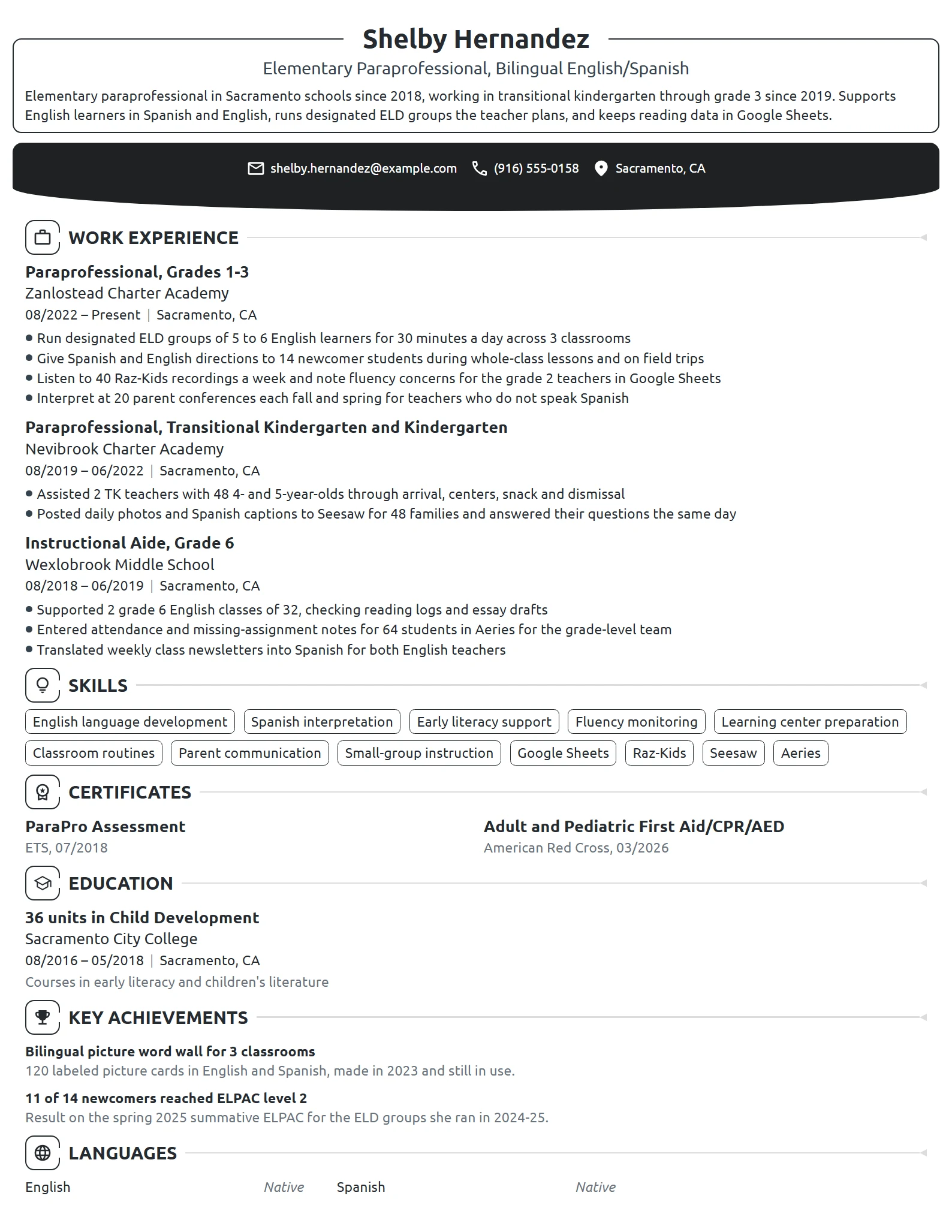 Elementary Paraprofessional resume example