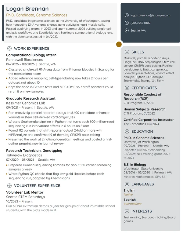 PhD Candidate resume example