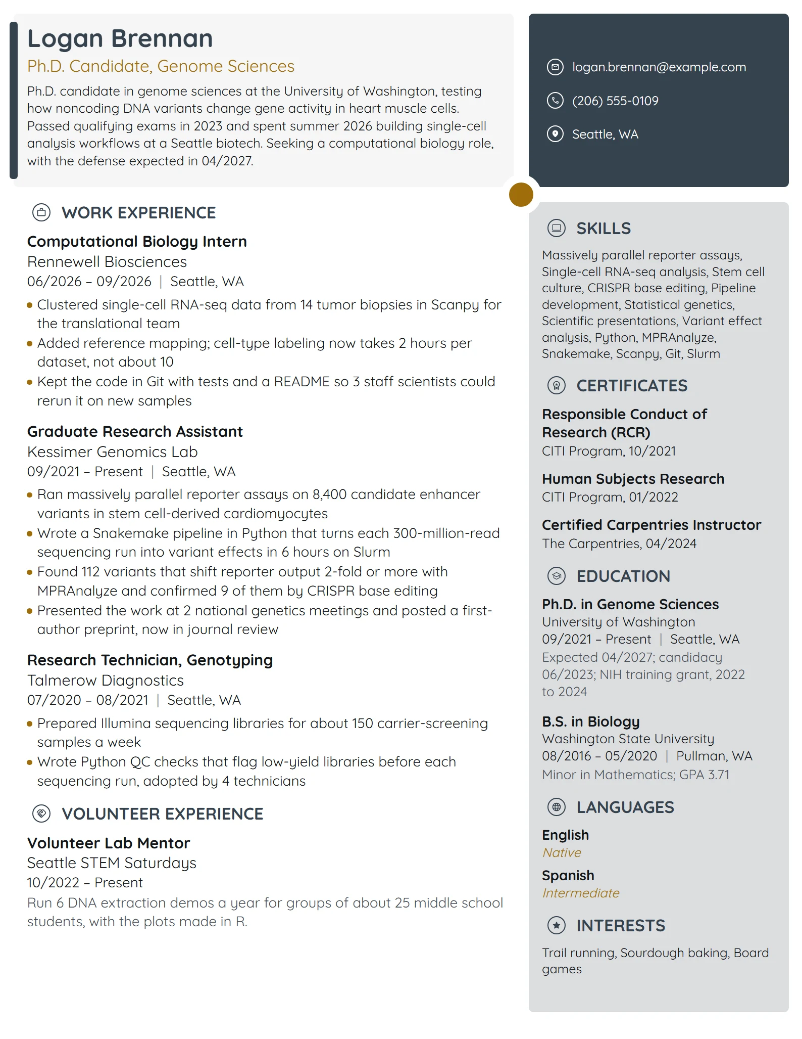 PhD Candidate resume example