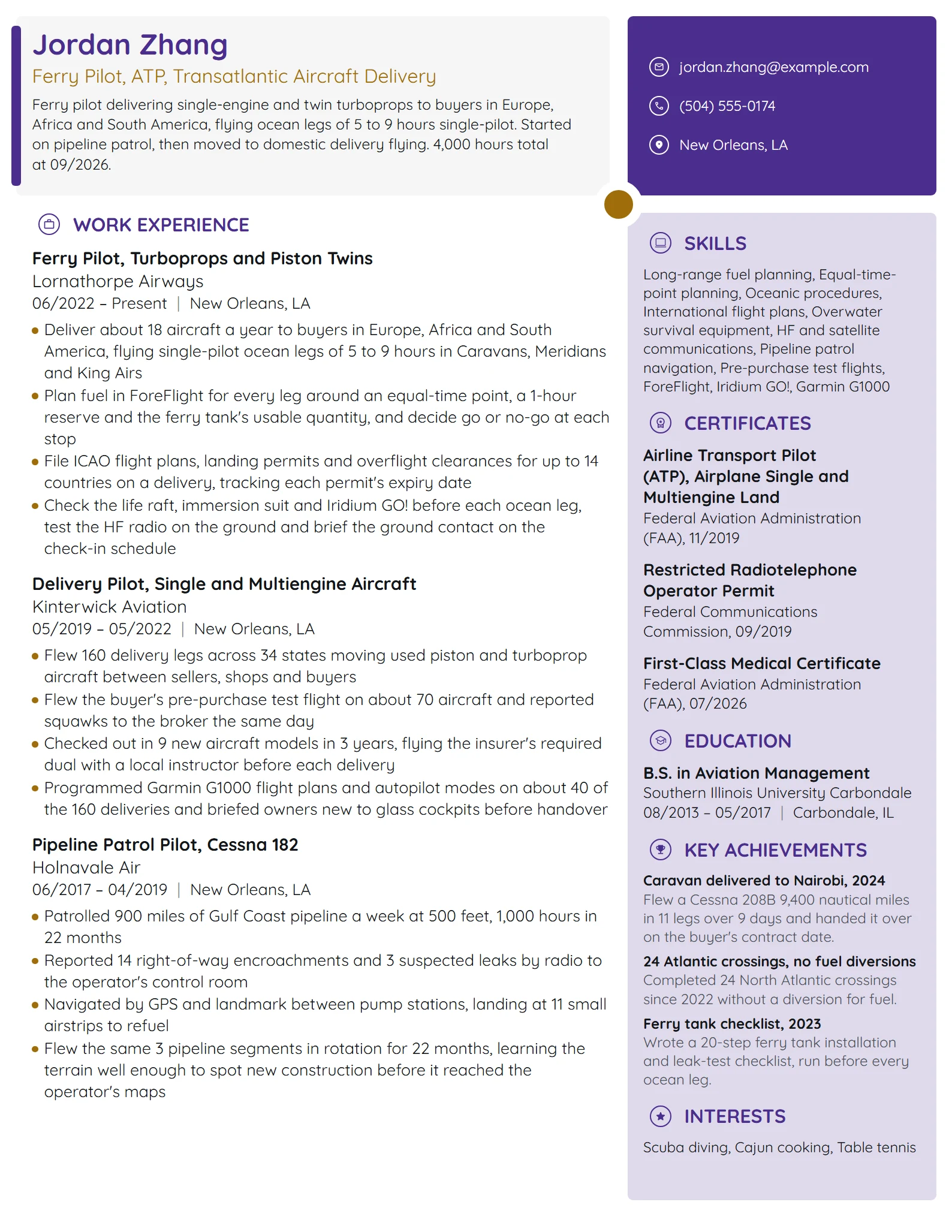 Ferry Pilot resume example