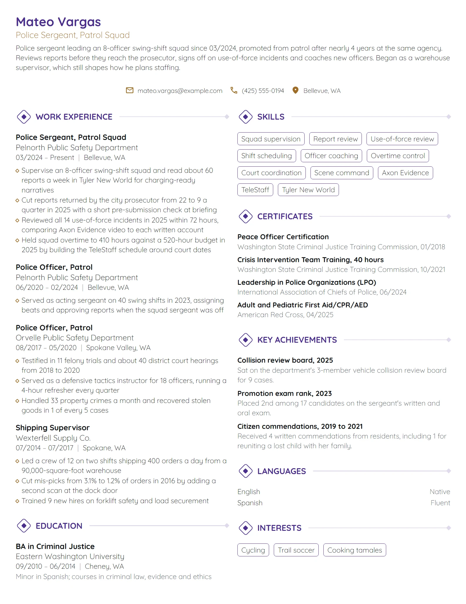 14 Police Officer Resume Examples & Guide for 2026