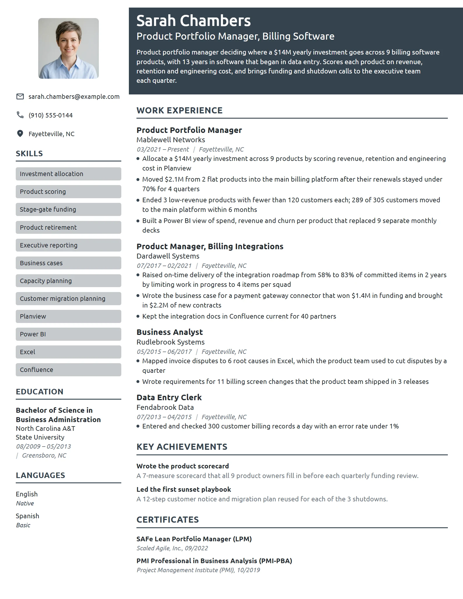 Product Portfolio Manager resume example