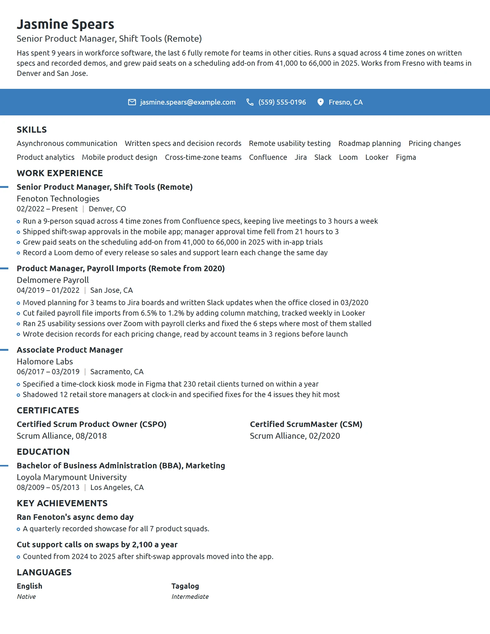 Remote Product Manager resume example