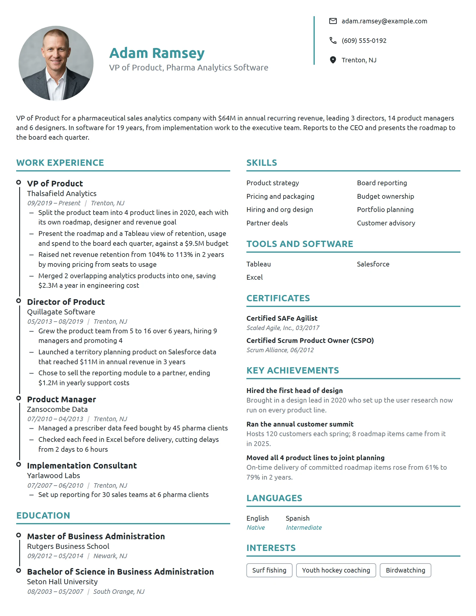 VP of Product resume example