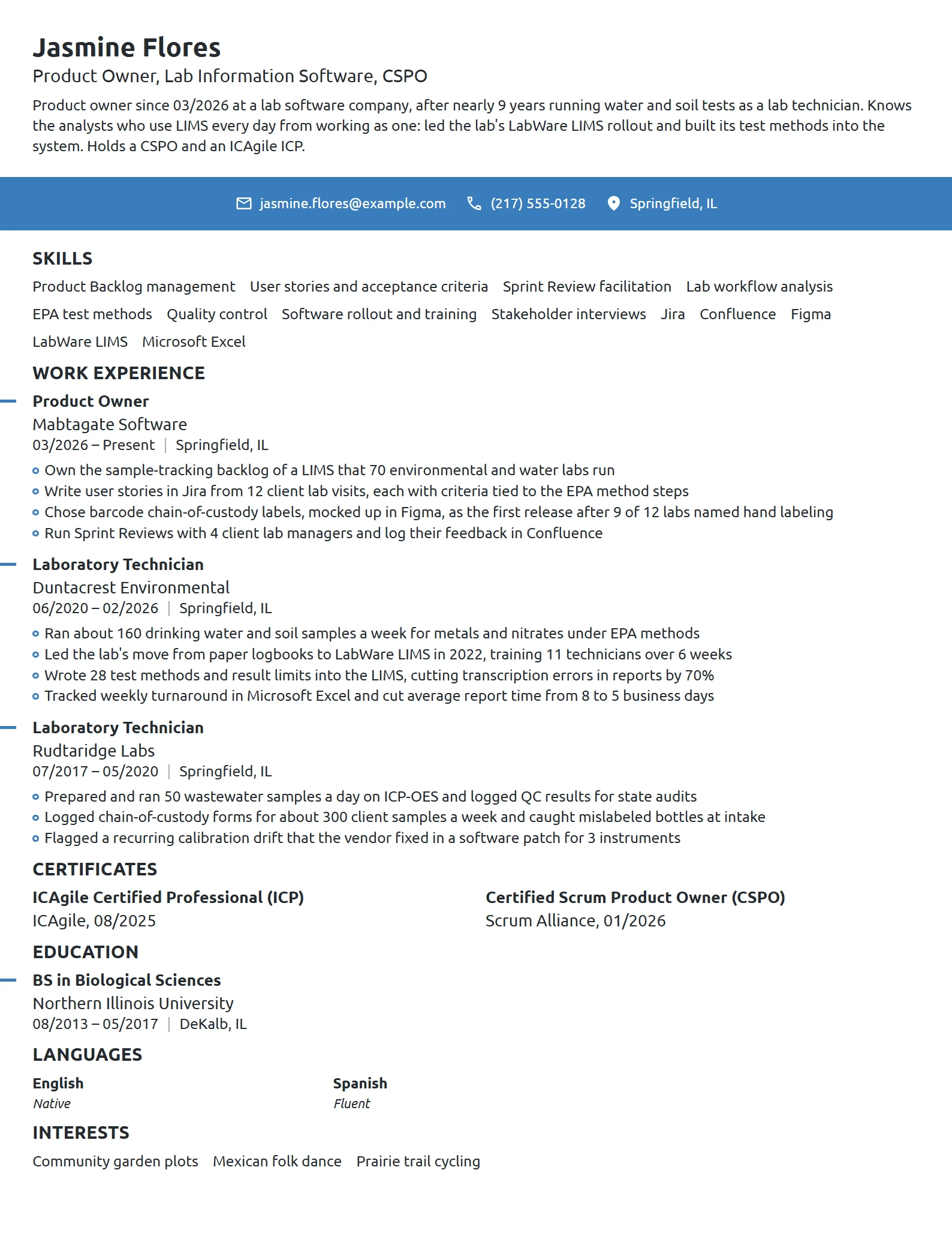 Career Change Product Owner resume example
