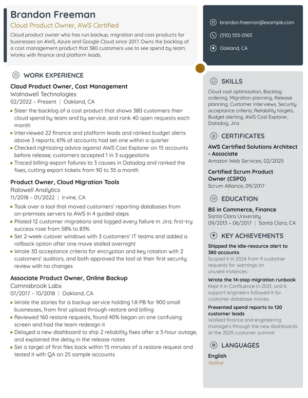 Cloud Product Owner resume example