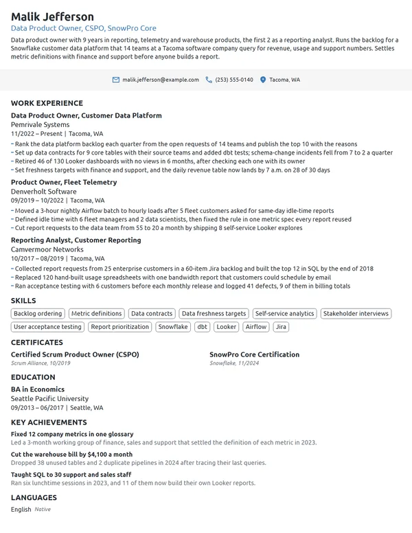 Data Product Owner resume example
