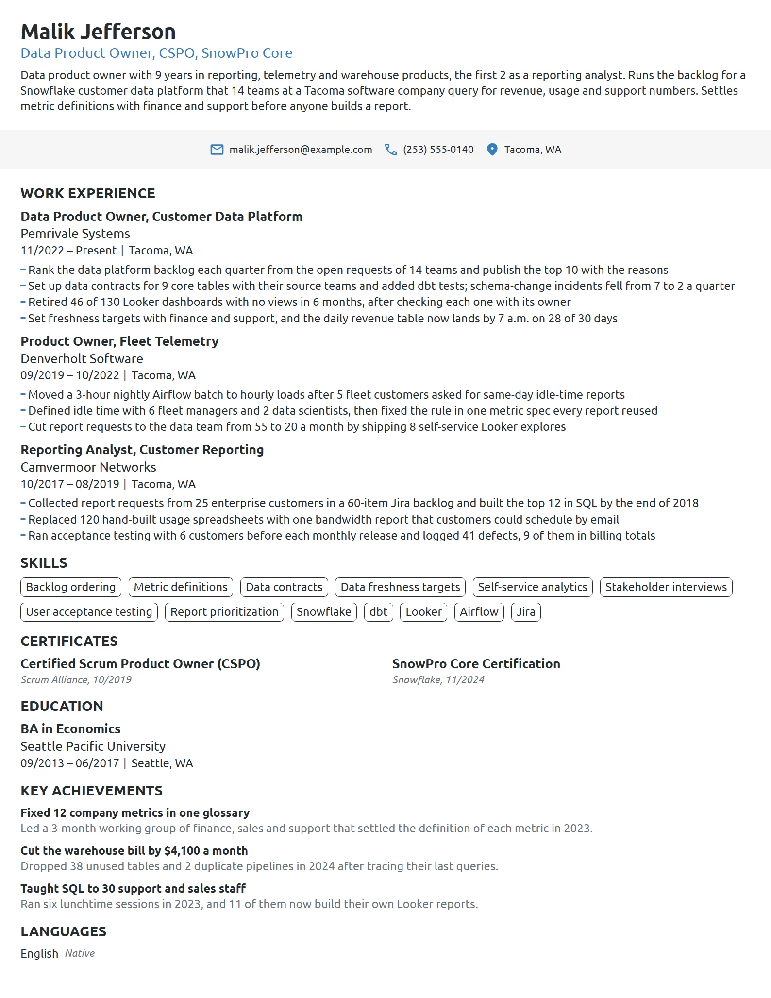 Data Product Owner resume example