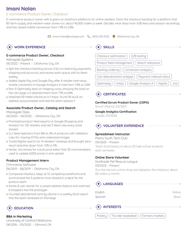 E-commerce Product Owner resume example