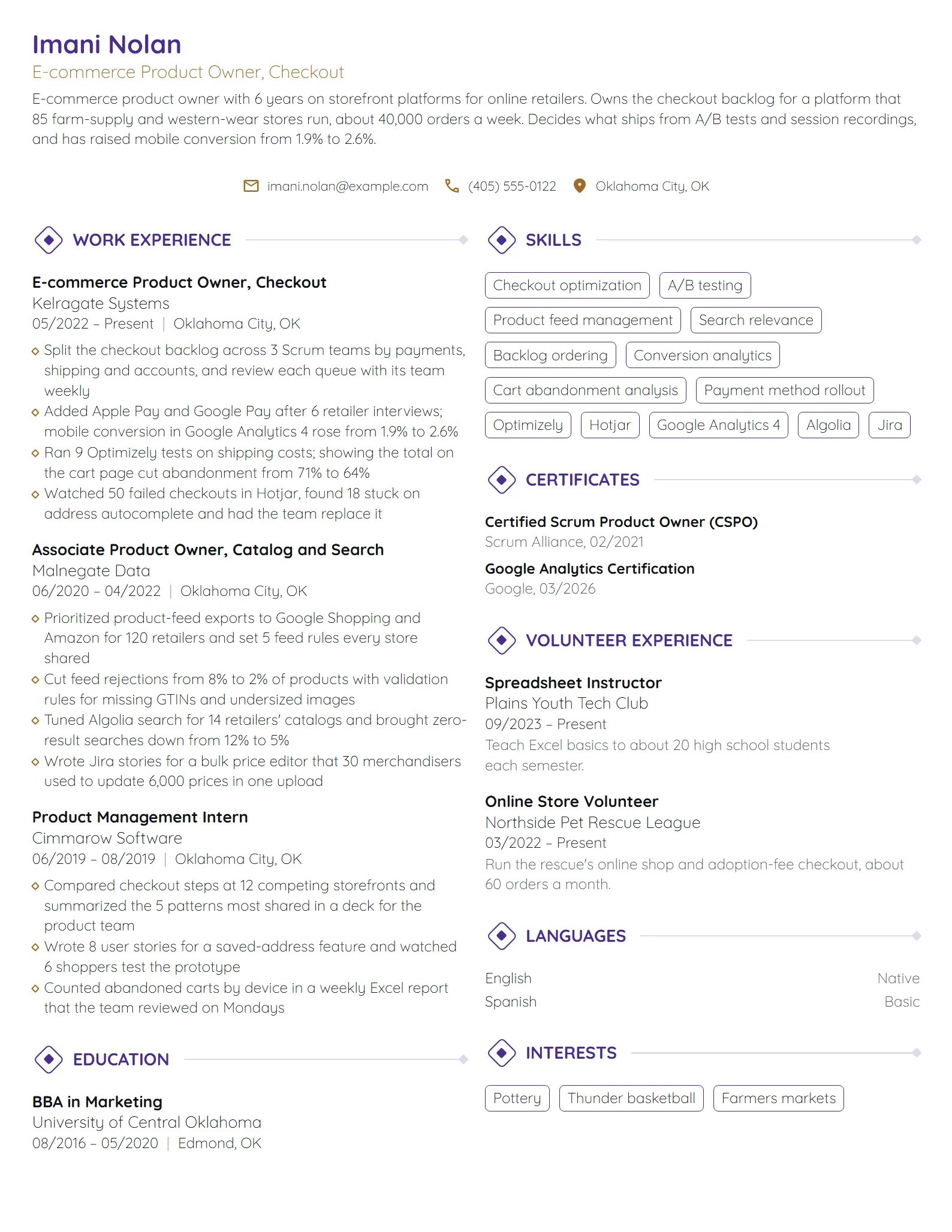 E-commerce Product Owner resume example