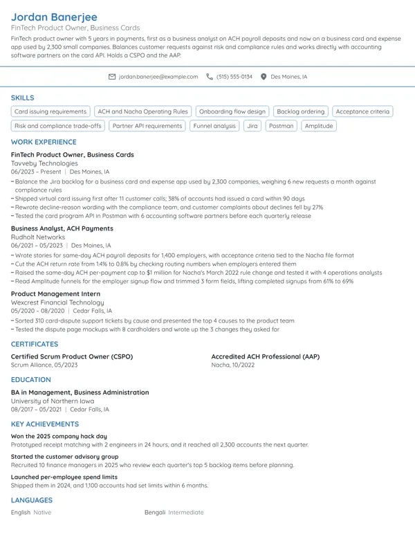 FinTech Product Owner resume example