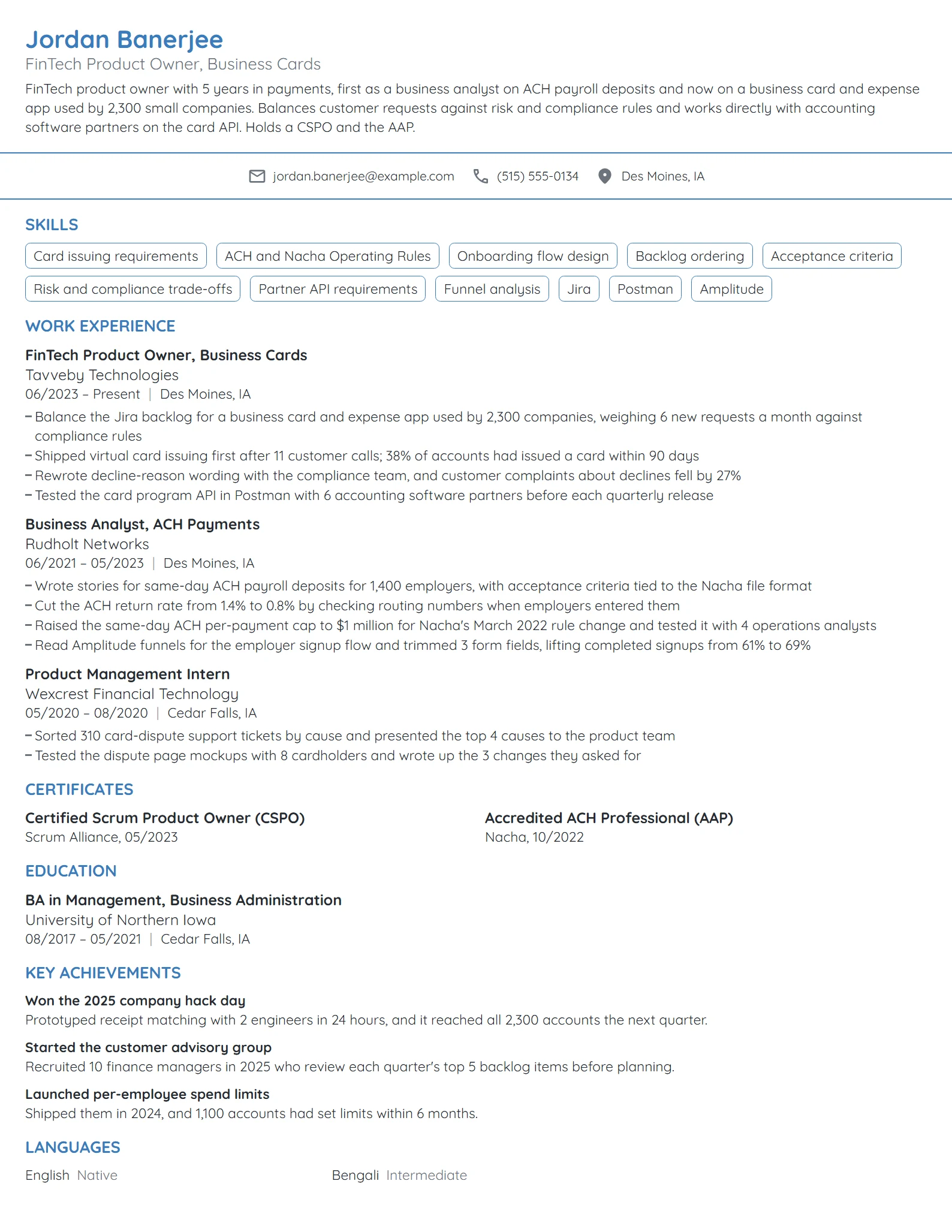 FinTech Product Owner resume example