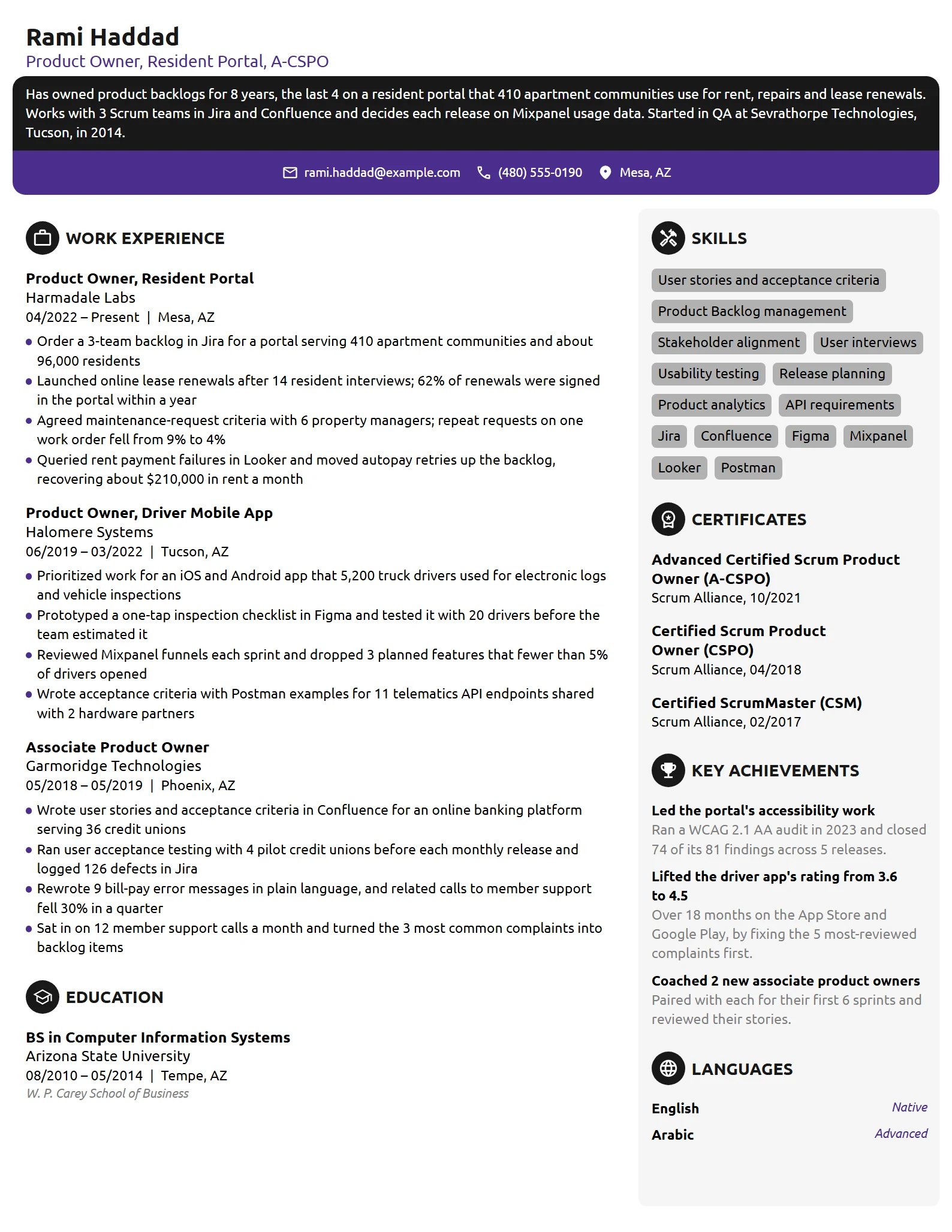 Product Owner resume example