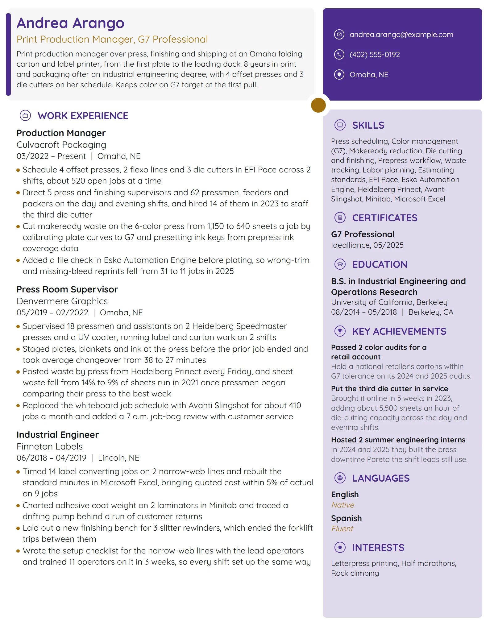 Print Production Manager resume example