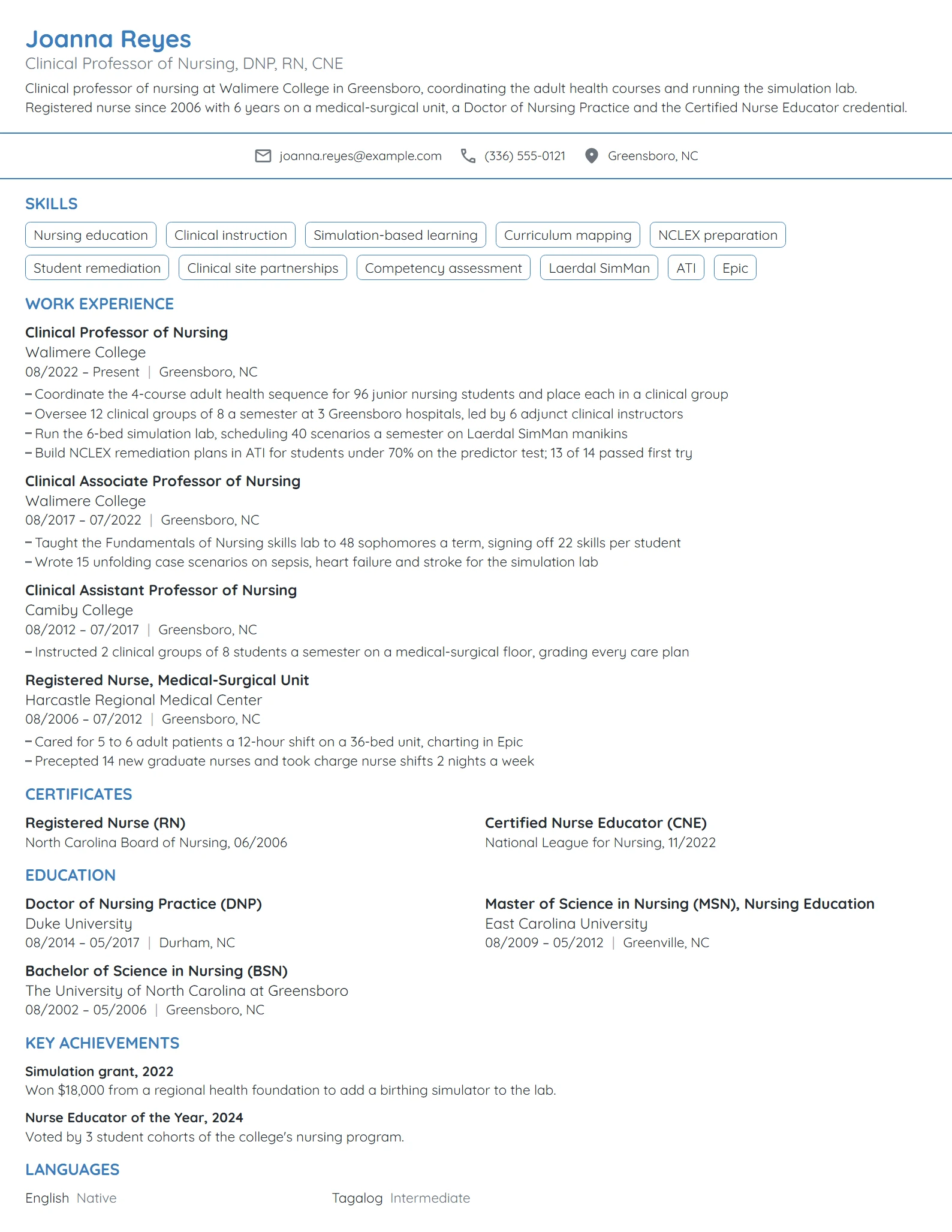 Clinical Professor of Nursing resume example