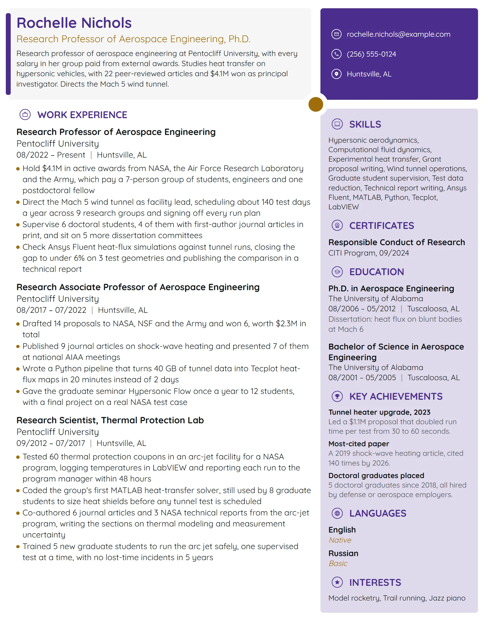 Research Professor resume example