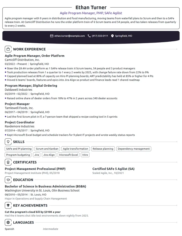 Agile Program Manager resume example