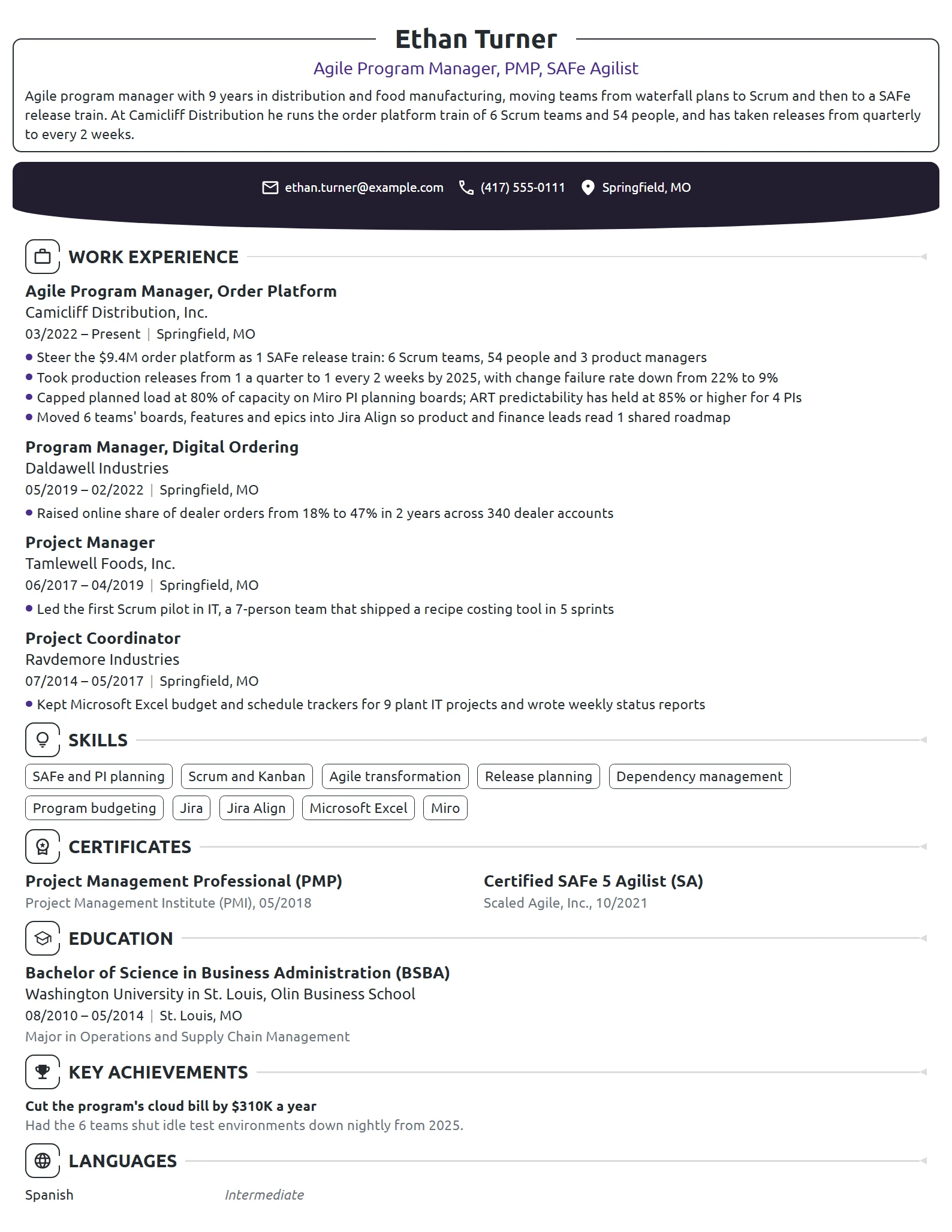 Agile Program Manager resume example