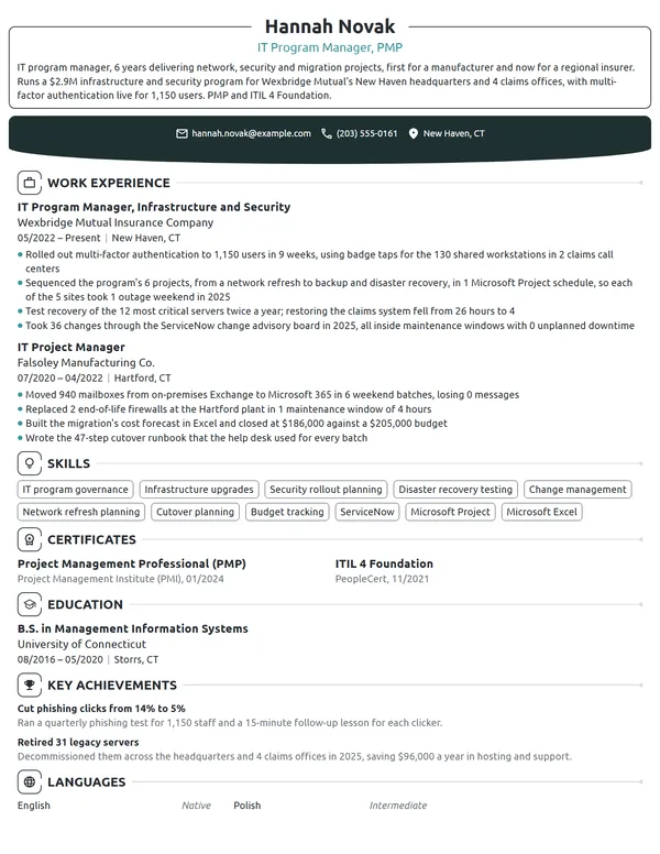 IT Program Manager resume example