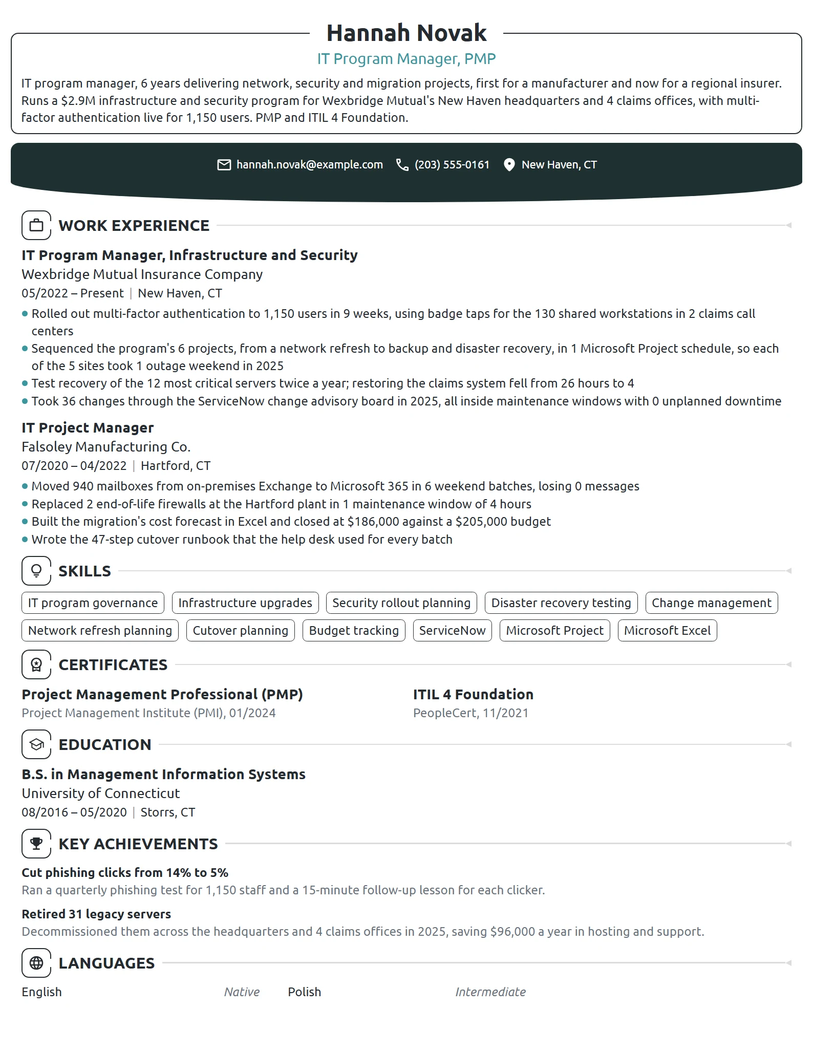 IT Program Manager resume example