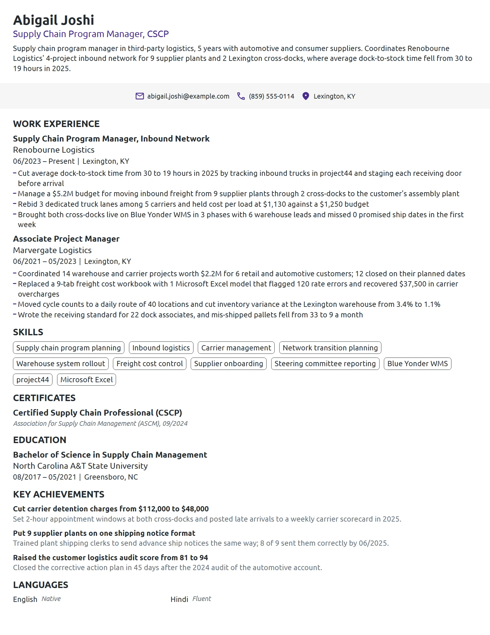 Supply Chain Program Manager resume example