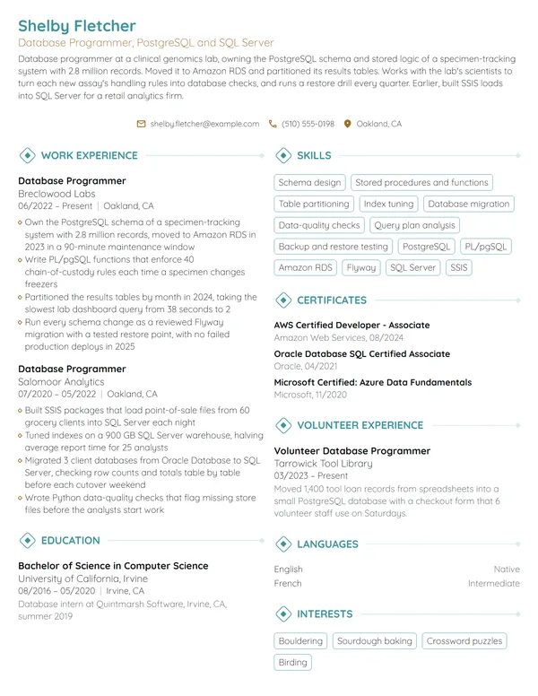 Database Programmer resume example