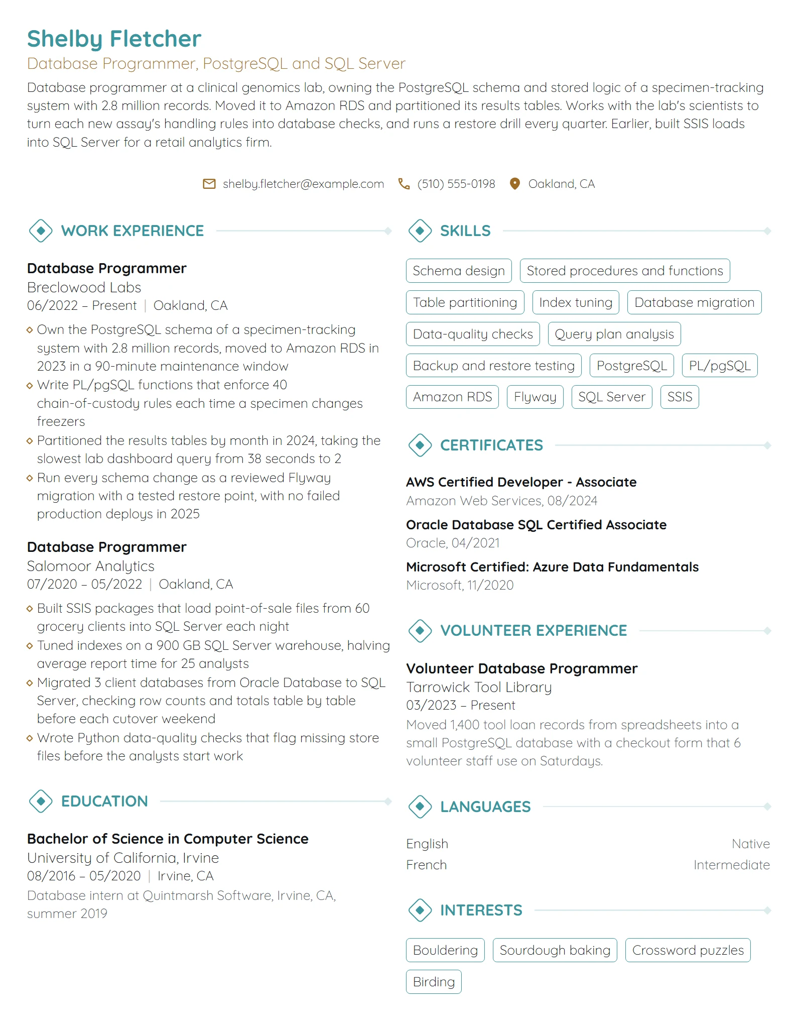 Database Programmer resume example