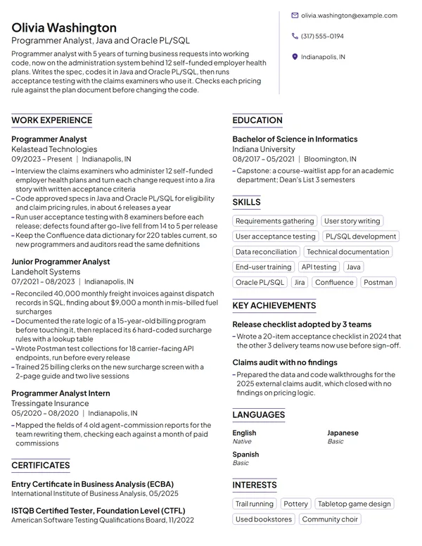 Programmer Analyst resume example