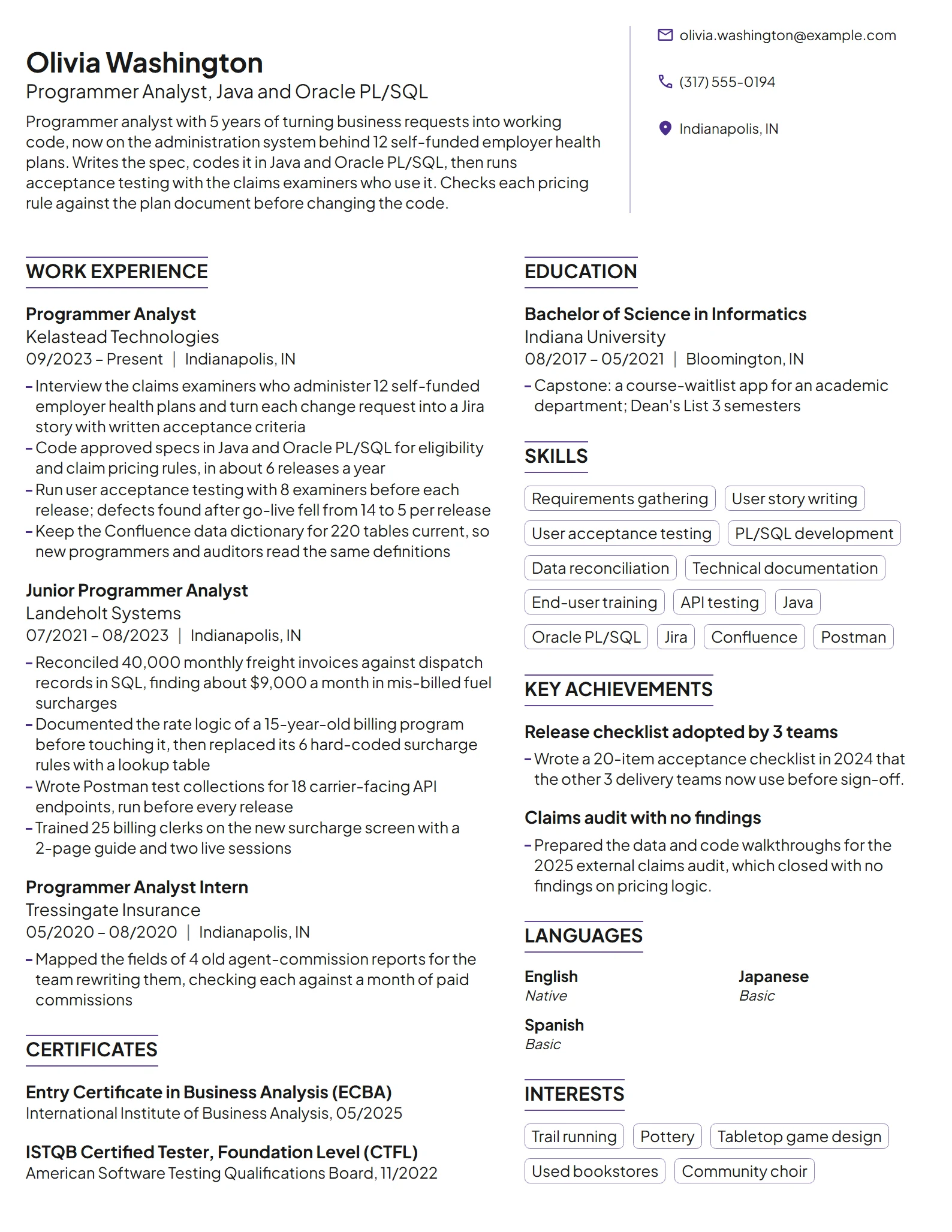 Programmer Analyst resume example