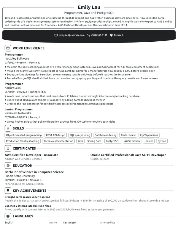 Programmer resume example