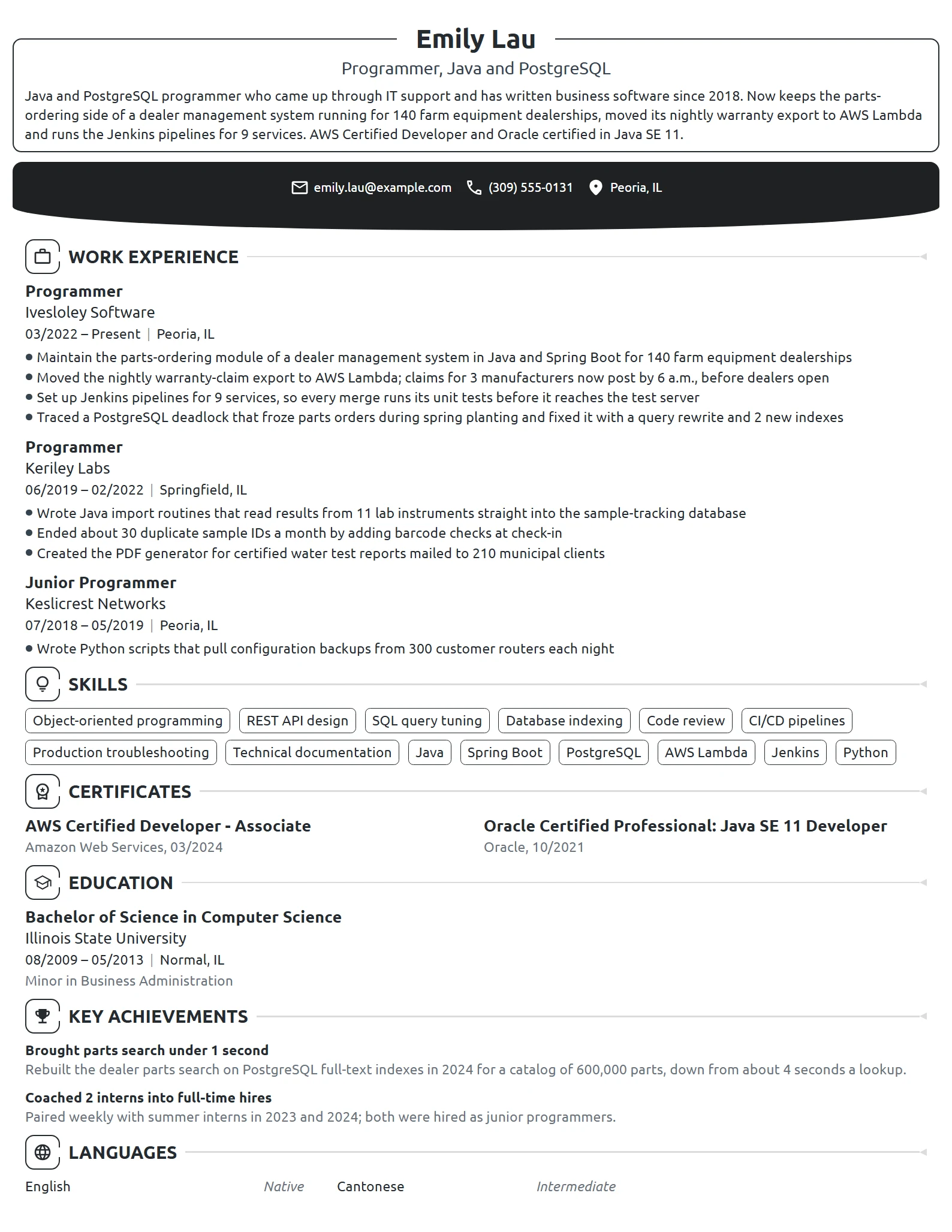 Programmer resume example