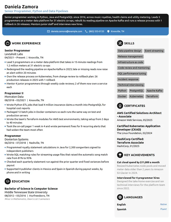 Senior Programmer resume example