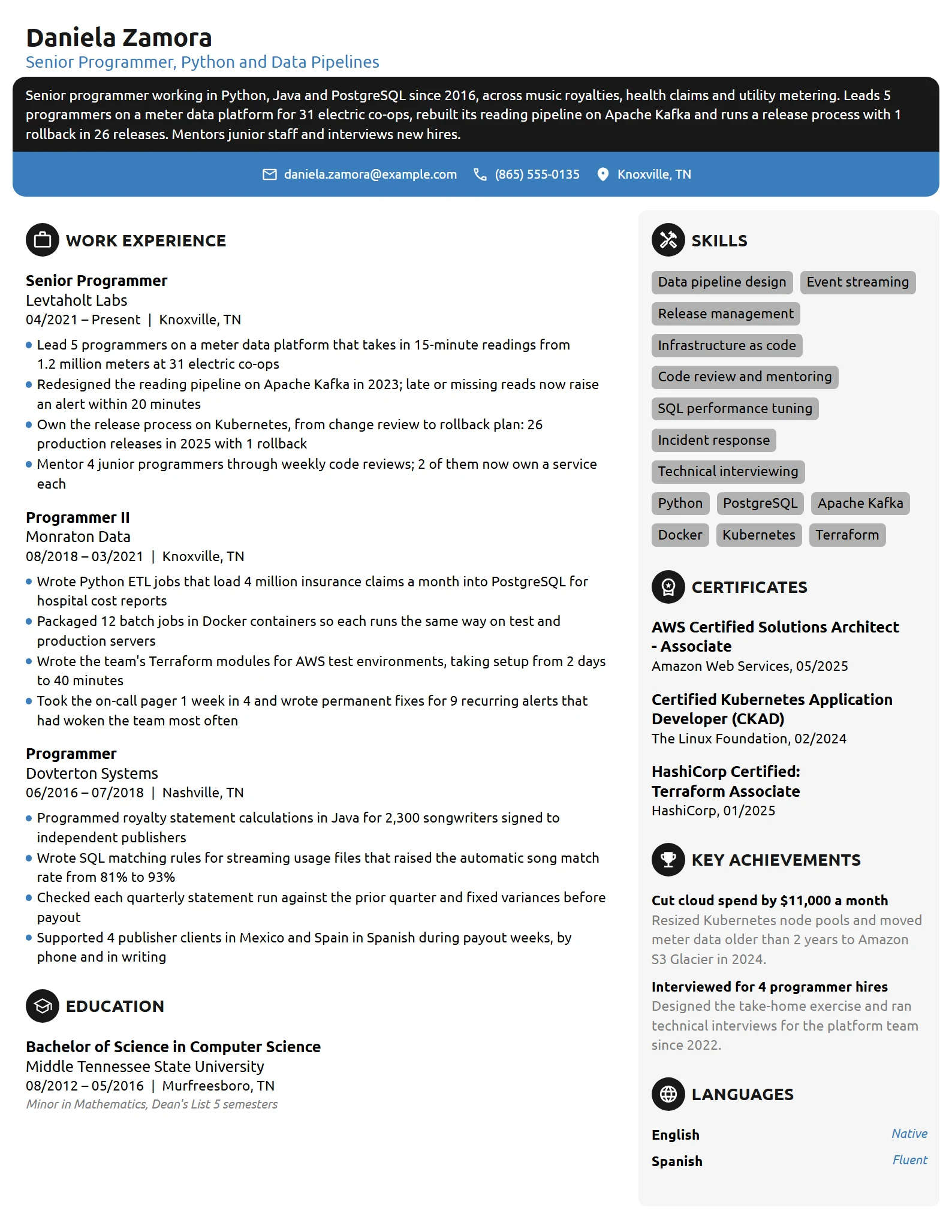 Senior Programmer resume example