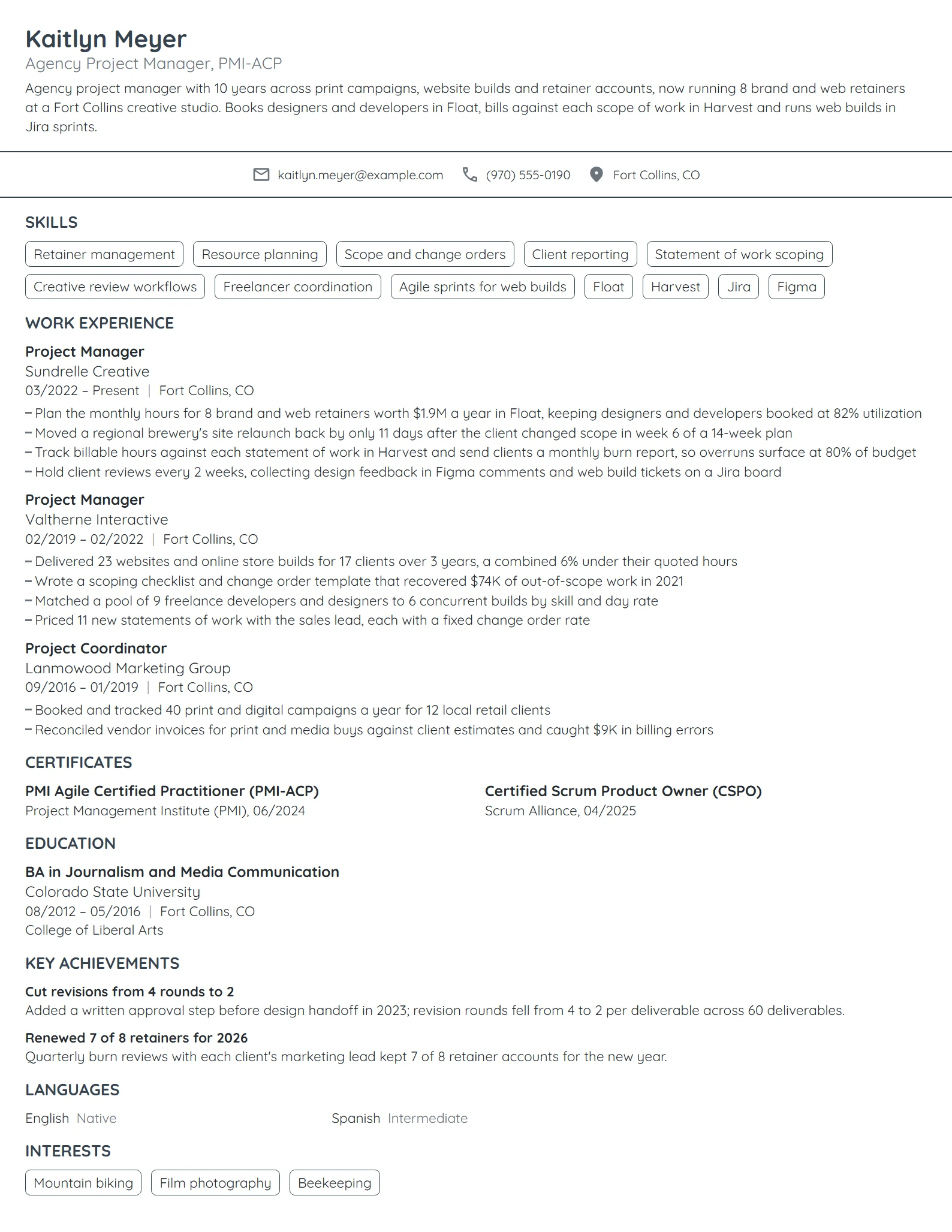 Agency Project Manager resume example
